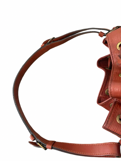 Louis Vuitton Noé Epi