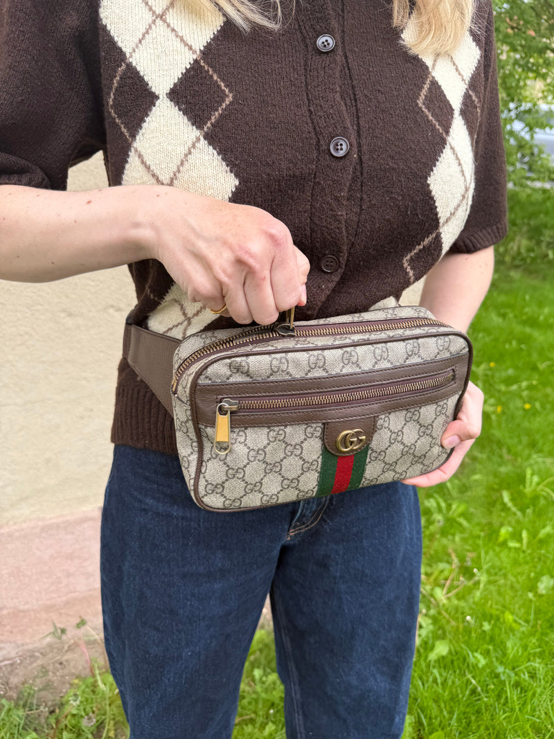 Gucci Ophidia Belt bag - Relovedbags