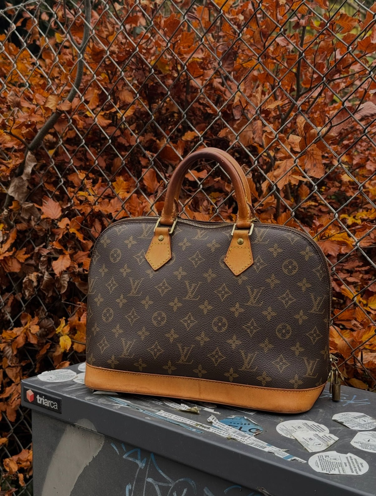 Louis Vuitton Alma - Relovedbags