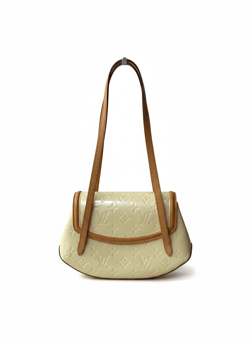 Louis Vuitton Biscayne Bay PM - Relovedbags