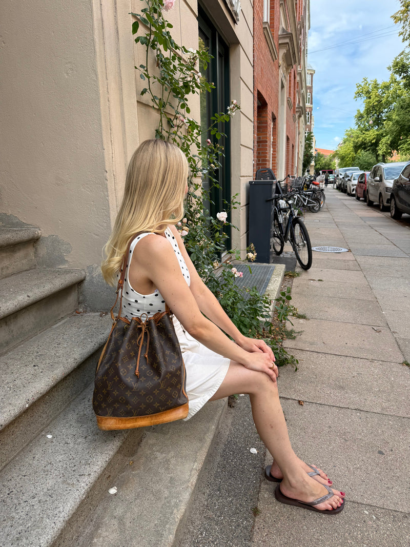 Louis Vuitton Noé - Relovedbags