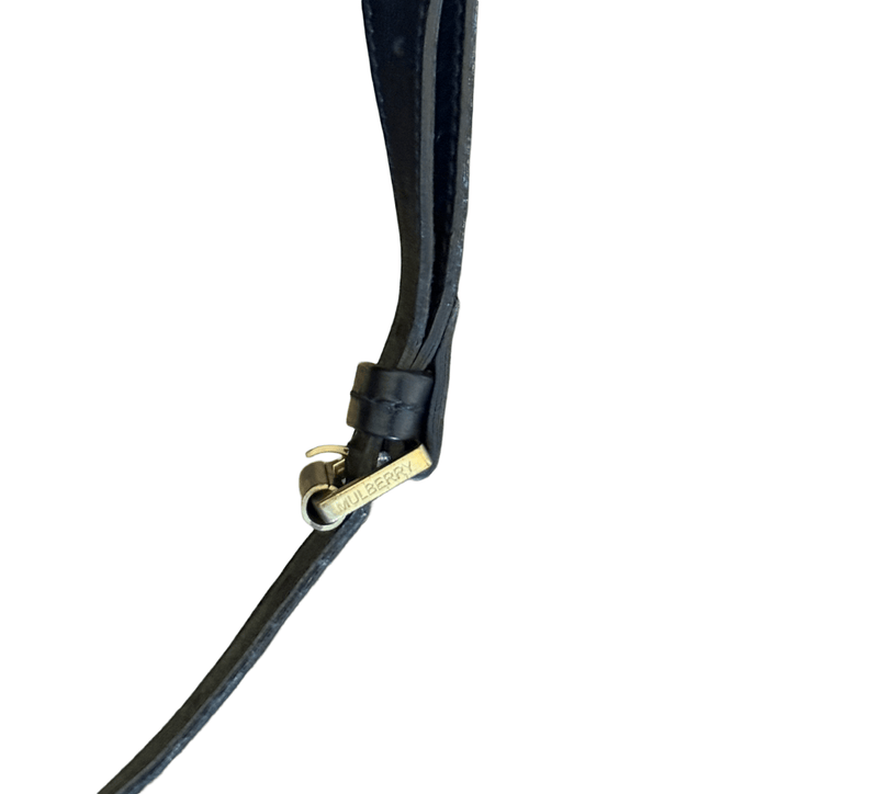 Mulberry Alexa - Relovedbags